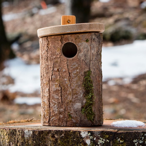 Bluebird House Handmade in NY - Bird House Natural Cavity Unique Birdhouse with tree / post mount, Hollow log Maple Tree Birdhouse