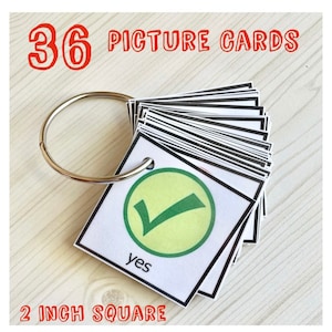 Picture Communication Keyring Cards- Autism- Speech Therapy- Non-Verbal
