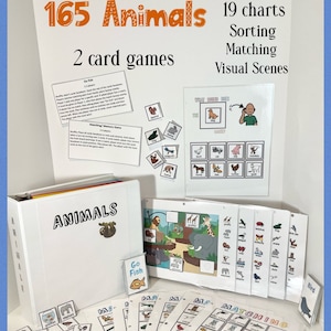 Animal Activity Set- Therapy- Autism- Velcro Matching- Sorting- Speech Development