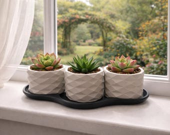 Modern Geometric Succulent Planter Set with 3 Pots and Tray