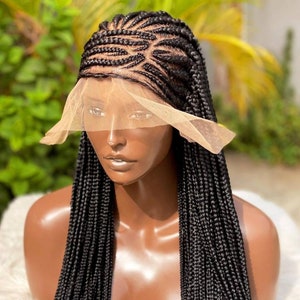 May include: A black braided wig with a lace front and a sheer cap. The wig is styled in a long, straight style with small braids.