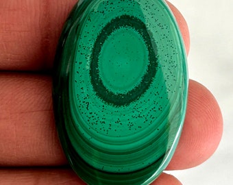 May include: Oval shaped green malachite cabochon with concentric rings and a dark green center. The stone is polished and has a smooth surface.