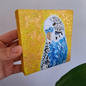 Handmade painting by master without frame, square small painting, parrot, bird, bluebird, pet,volume effect picture