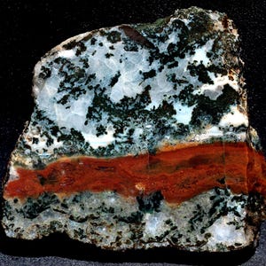 C978 ~ 4.3oz Thick Slab of Agatized Replacement Wood ~ Hampton Butte