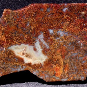 May include: A large, irregularly shaped piece of agate with a white, swirling pattern against a background of red, orange, and brown.