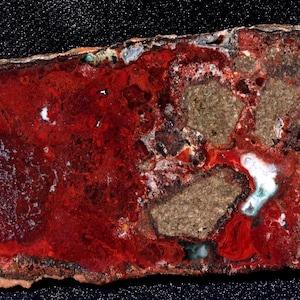 May include: A cross-section of a rock with a striking red and brown color palette. The rock features a vibrant red, marbled pattern on the left, transitioning to a speckled brown texture on the right. White and teal accents add contrast.