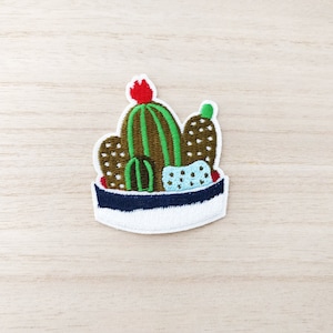 Peut inclure: Un patch brodé blanc représentant un cactus vert avec une fleur rouge et des accents marrons et bleus dans un pot blanc avec un bord bleu.