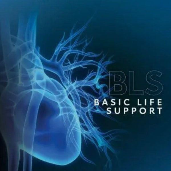 E-Book - BLS Provider Manual 2020 Newest Edition (Please read item description before purchasing)