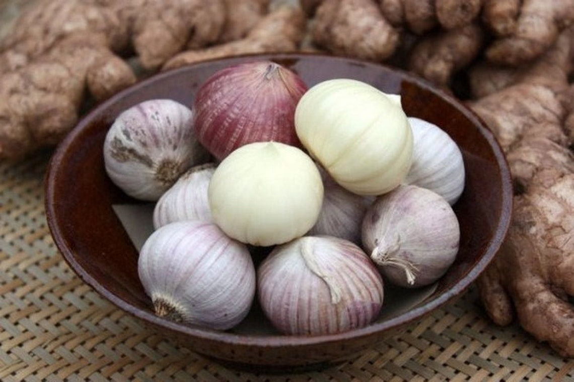 30 2000 Bulbs Solo Garlic Single Clove Garlic Allium Etsy