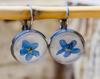 Earrings "Forget-my-not" made of epoxy resin with real flowers