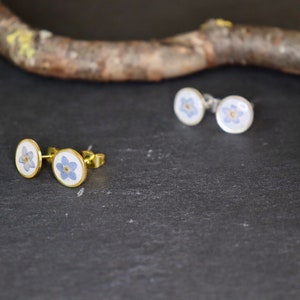Sweet round earrings “Forget-me-not” with real flowers