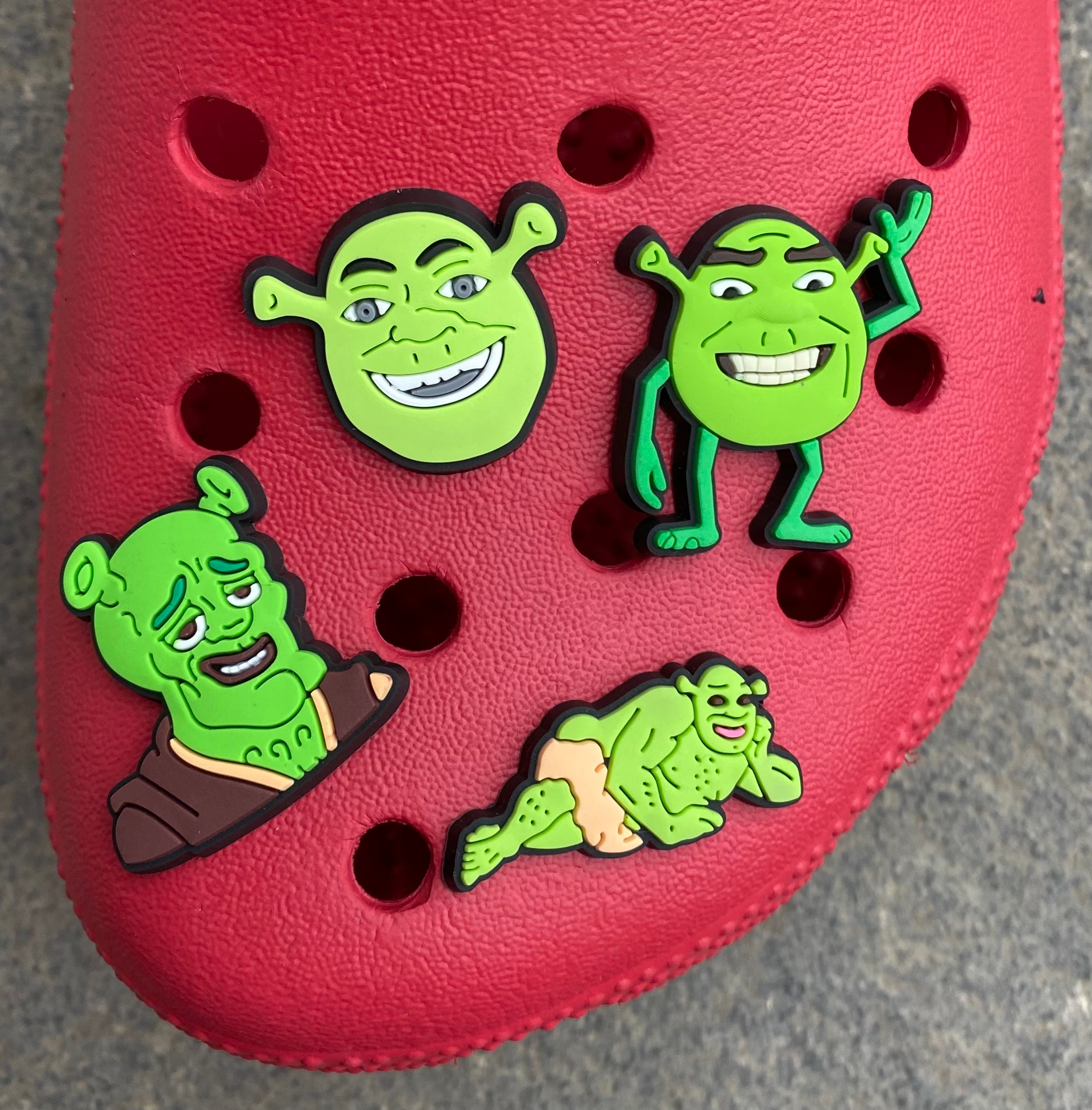 What are you doing in my Shrek Crocs  Metal Print for Sale by