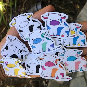 May include: A set of nine colorful cow stickers. Each sticker features a white cow with different colored spots. The cows are all sitting down and have different expressions on their faces.