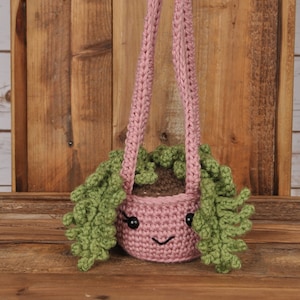 Roślina wisząca paproci, roślina szydełkowa, kaktus szydełkowy, ręcznie robiony, amigurumi, prezent dla przyjaciela, prezent urodzinowy, prezent dla niej, roślina biurowa