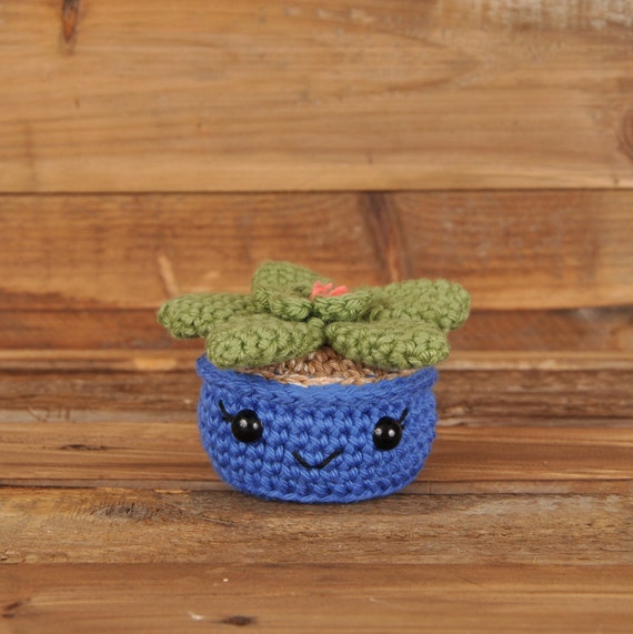 多肉植物、青い鉢、かぎ針編みの植物、かぎ針編みのサボテン