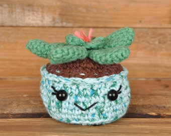 Planta Suculenta, Colección Maceta Azul, Planta de Ganchillo, Cactus de Ganchillo, Hecho a mano, Amigurumi, Regalo para Amigo, Regalo de Cumpleaños, Planta de Oficina