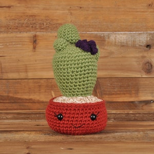 Knobby Cactus, Maroon Pot, Crochet Plant, Crochet Cactus, Hand Made, Amigurumi, Gift for Friend, Birthday Gift, Gift for Her, Office Plant