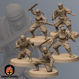 Mizuchi Ninja | Kyoushuneko | Table Top Gaming Mini | RPG | D&D | 3D Printed Miniature 28mm