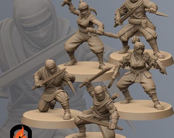 Mizuchi Ninja | Kyoushuneko | Table Top Gaming Mini | RPG | D&D | 3D Printed Miniature 28mm