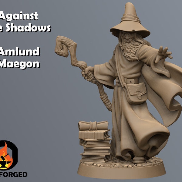 Amlund Maegon the Grey Wizard | 32mm | RN Estudio | Table Top Gaming | RPG | D&D |   3D Printed Miniature