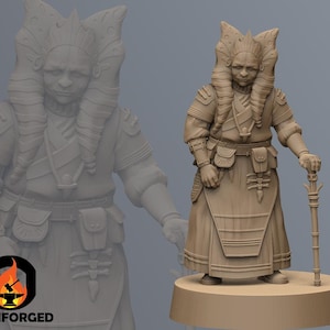 The Granny SW Legion RPG 3D Printed Sci-FI Miniature Mini