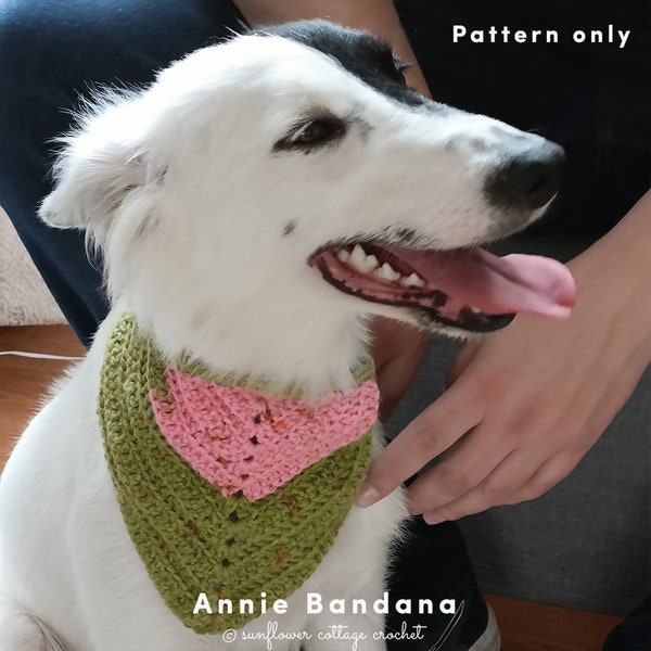 Annie Dog Bandana, dog accessory, photo prop, easy PDF crochet Pattern