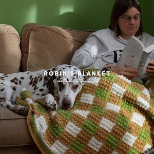 May include: A brown, white, and green crocheted blanket with a checkered pattern. A Dalmatian dog is lying on the blanket, and a person is sitting on a couch reading a book.