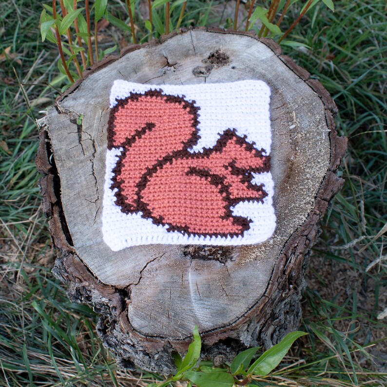Square Squirrel Pattern Tapestry Crochet Squirrel Square, Adventurous Beginner PDF Pattern Only ...