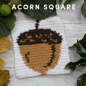 Acorn tapestry crochet 8" square PDF Pattern only