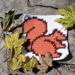 May include: A crocheted square featuring a brown and orange squirrel on a white background. The square is surrounded by autumn leaves.