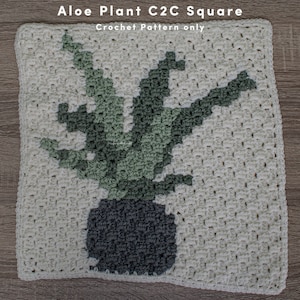 Aloe plant corner to corner blanket afghan square, plant lover gift idea, easy, crochet pattern only