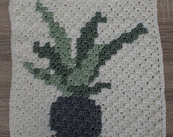 Aloe plant corner to corner blanket afghan square, plant lover gift idea, easy, crochet pattern only