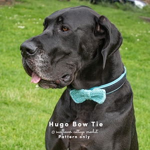 Puede incluir: Un perro Gran Danés negro con una pajarita azul de ganchillo. El perro está mirando hacia la izquierda de la imagen. El texto "Hugo Bow Tie" y "sunflower cottage crochet" está debajo del perro. El texto "Pattern only" está debajo del texto "sunflower cottage crochet".