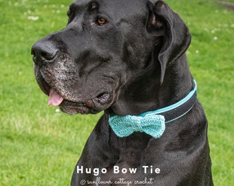 Hugo Bow tie, dog accessory, doggie bow tie, crochet pattern for dogs