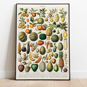 Adolphe Millot - Vintage Fruit Poster, Wall Decor, Downloadable Art Print, Instant Download