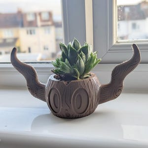 Op de afbeelding: Een bruine, boomachtige plantenbak met een groene vetplant. De plantenbak heeft een textuur van houtnerf en twee gebogen, hoornachtige uitsteeksels. De vetplant heeft dicht opeengepakte groene bladeren. De plantenbak staat op een witte vensterbank.