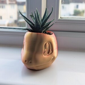 Op Pokemon geïnspireerde 3D-geprinte plantenbak, Charmander buste plantenbak, goed voor Aqua Air-planten of cactus