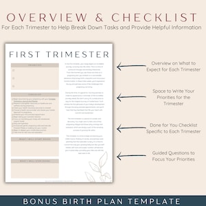 Pregnancy Checklist Bundle, Printable Pregnancy Planner To Do Lists Templates, First Time Mom and Baby Checklists, Expecting Mom Gift image 4