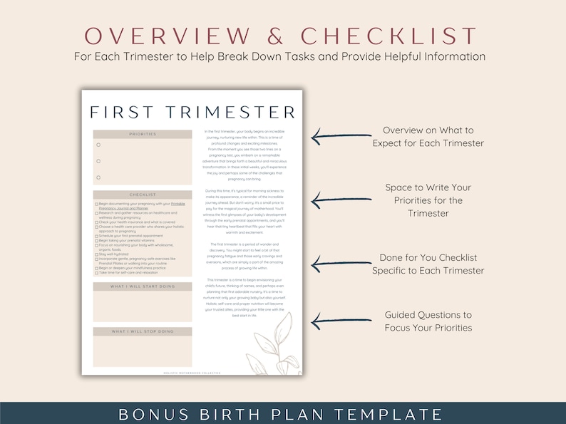 Pregnancy Checklist Bundle, Printable Pregnancy Planner To Do Lists Templates, First Time Mom and Baby Checklists, Expecting Mom Gift image 4