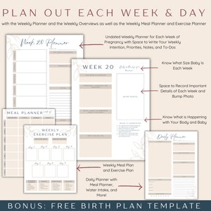 May include: A printable set of weekly planners for pregnancy, including a meal planner, exercise plan, and daily planner. The planners are beige with floral accents and the text "Week 20 Planner" and "Weekly Exercise Plan".