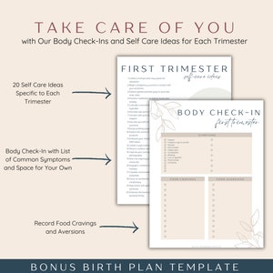 Pregnancy Checklist Bundle, Printable Pregnancy Planner To Do Lists Templates, First Time Mom and Baby Checklists, Expecting Mom Gift image 6