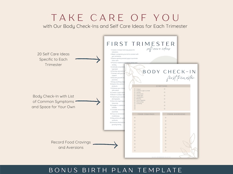 Pregnancy Checklist Bundle, Printable Pregnancy Planner To Do Lists Templates, First Time Mom and Baby Checklists, Expecting Mom Gift image 6