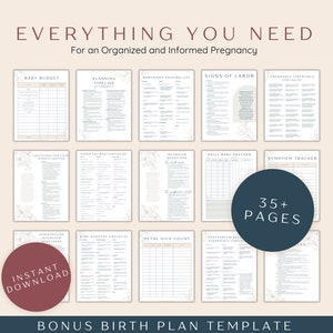 Pregnancy Checklist Bundle, Printable Pregnancy Planner To Do Lists Templates, First Time Mom and Baby Checklists, Expecting Mom Gift image 8
