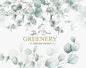 Watercolor Eucalyptus Clipart: Baby Blue Greenery (digital Download) - Etsy