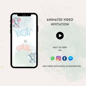 Gender Reveal Party Invitation, Party decoration, Video Invitation, Party Invite, Animated, Digital Invitation,