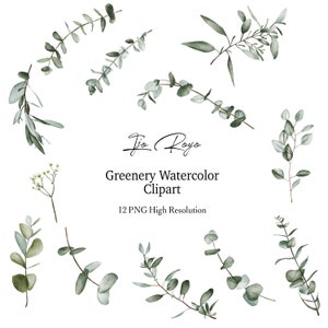 Watercolor Eucalyptus Clipart - Baby Blue Eucalyptus - Greenery Clipart - Individual Elements - Eucalyptus Clipart - Watercolor Greenery
