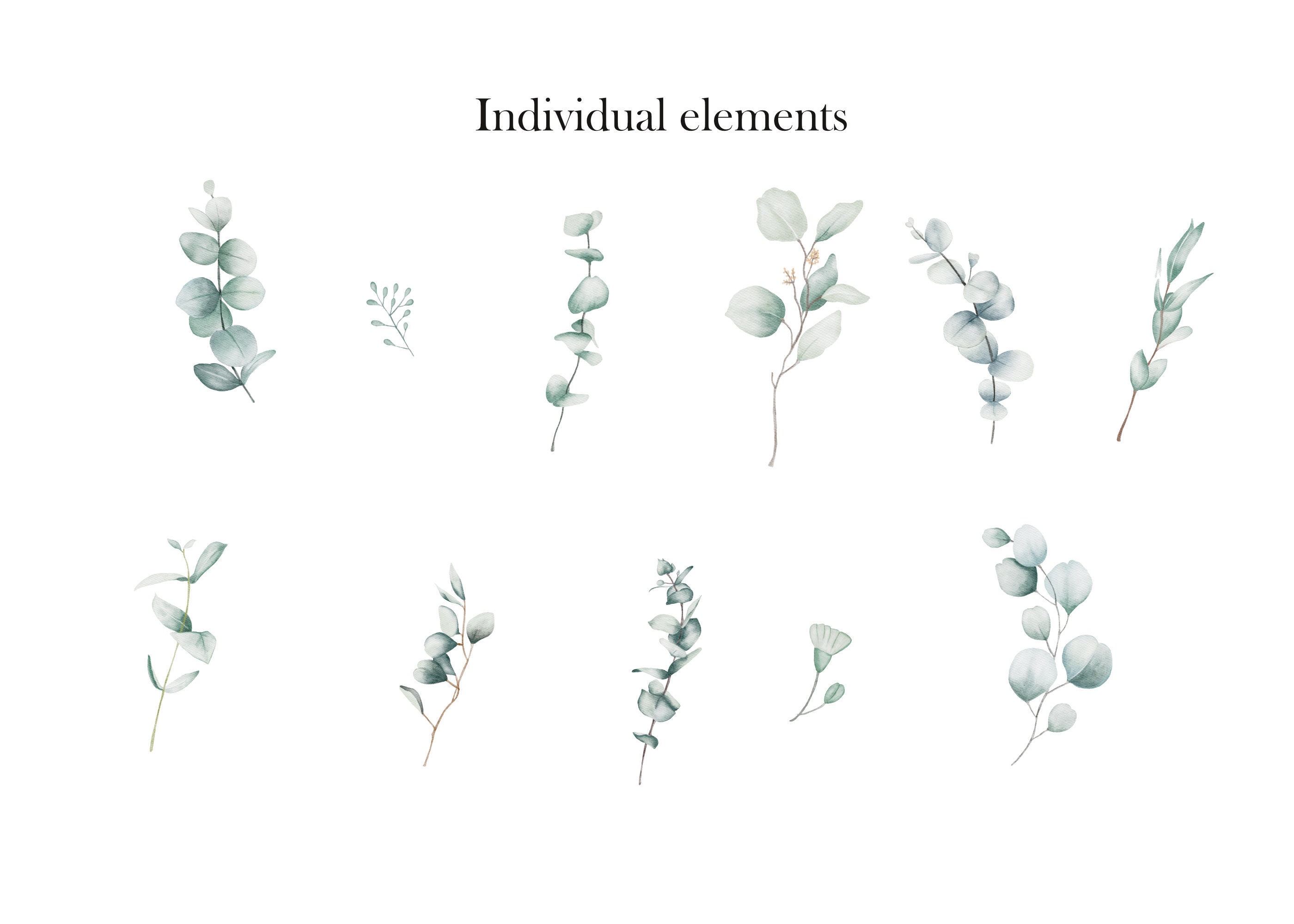 Watercolor Eucalyptus Clipart Baby Blue Eucalyptus Greenery Clipart ...