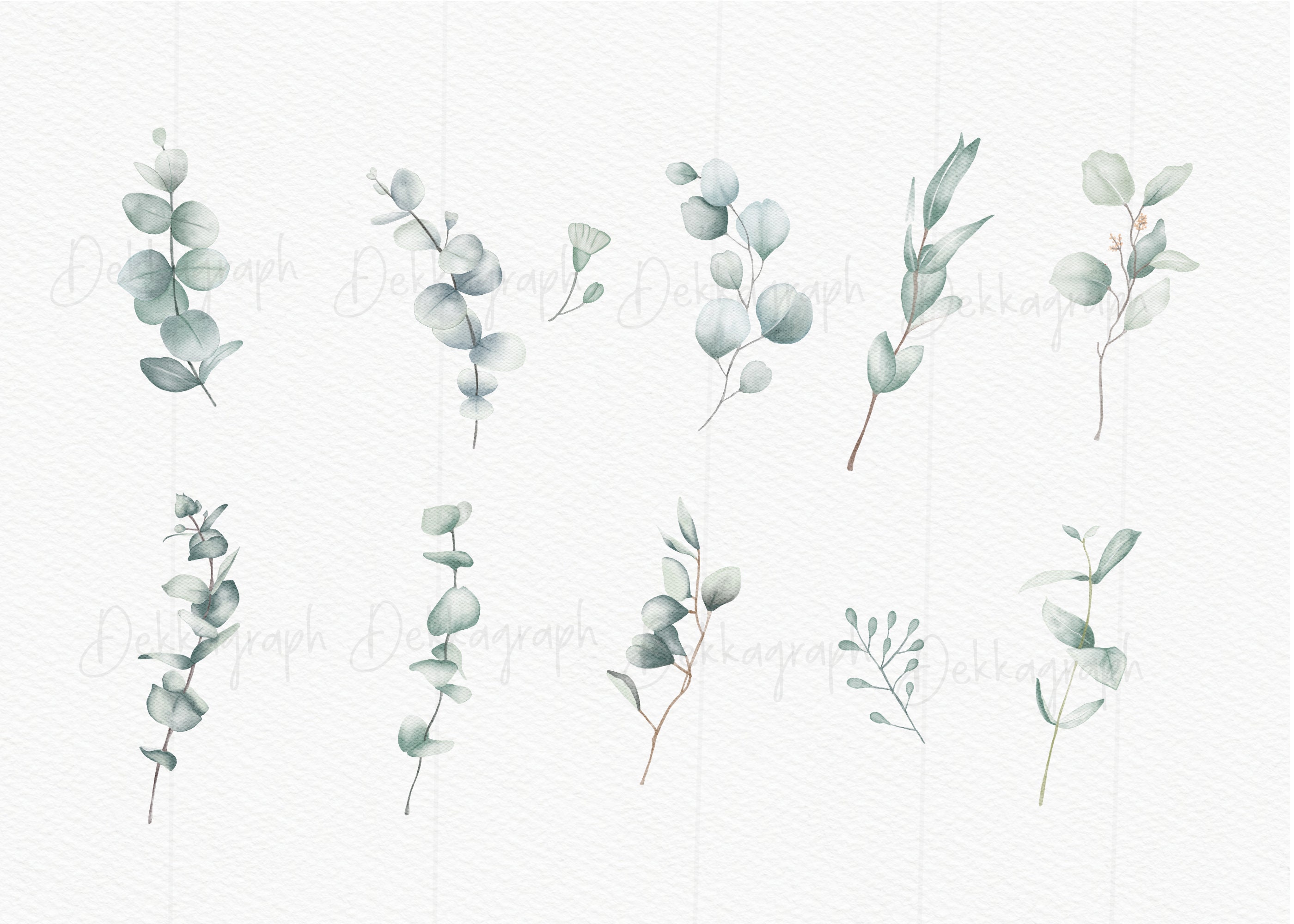 Watercolor Eucalyptus Clipart Baby Blue Eucalyptus - Etsy UK