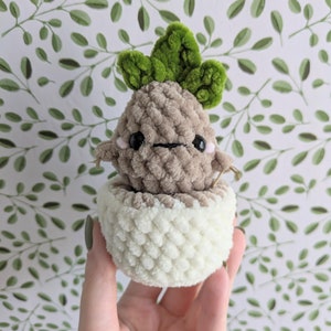 May include: A small, brown and white crocheted plush toy shaped like a plant with a green crocheted top. The toy is sitting in a white crocheted pot.