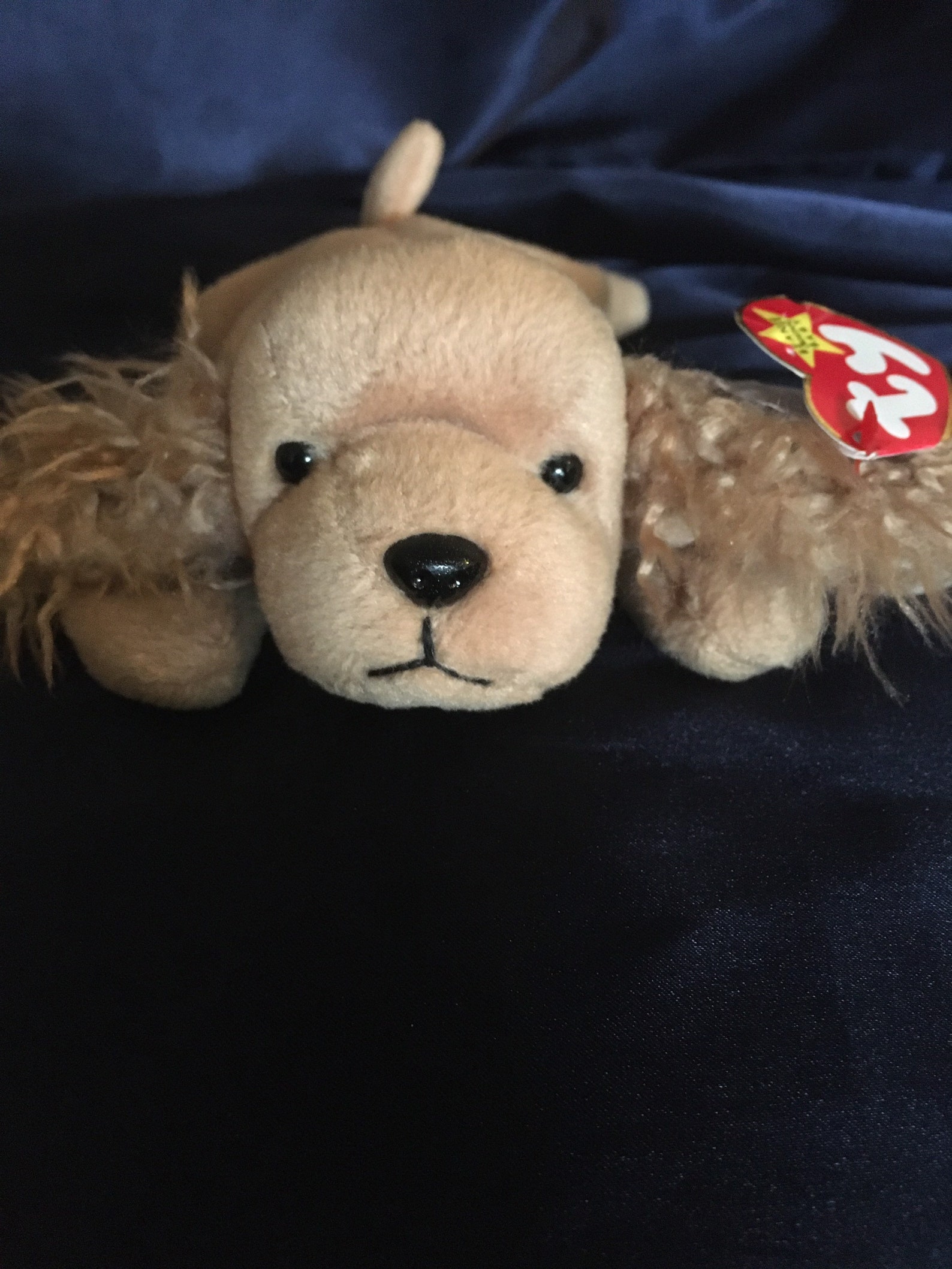 Rare Spunky beanie baby Etsy